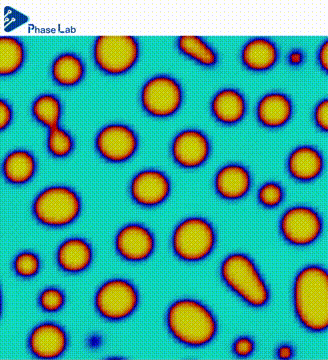 【Phase Lab2023B视频1-4】1102重新整理.gif